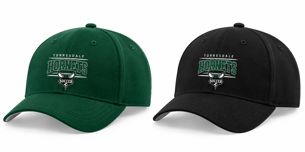 Hornets Snapback